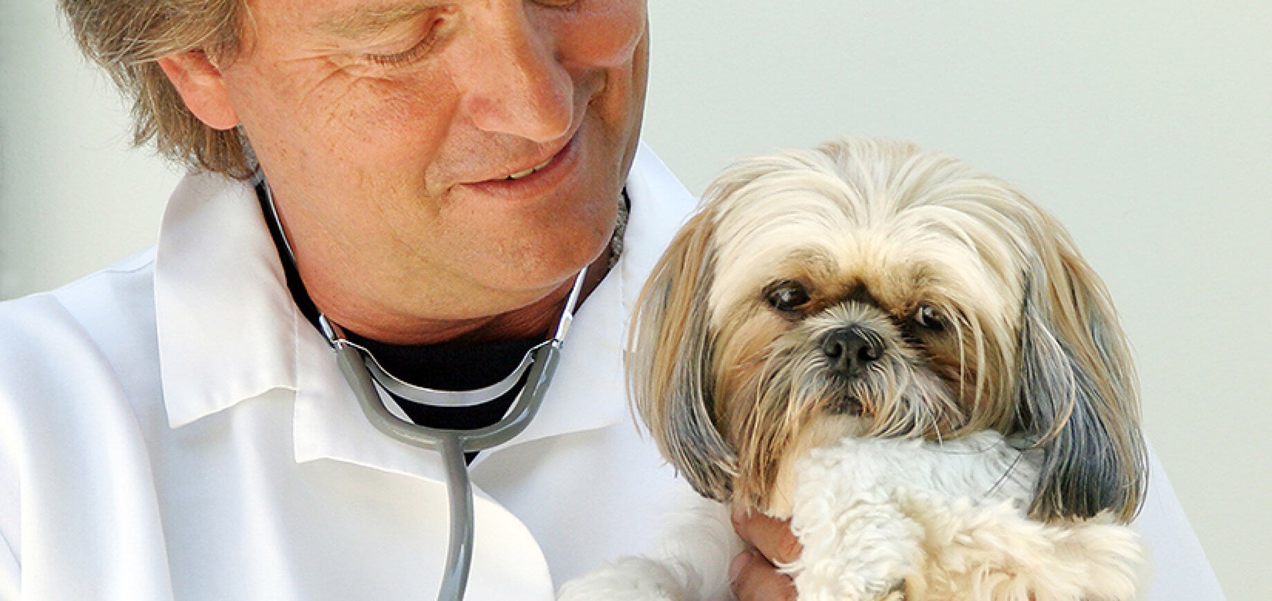 Avoiding vet fear