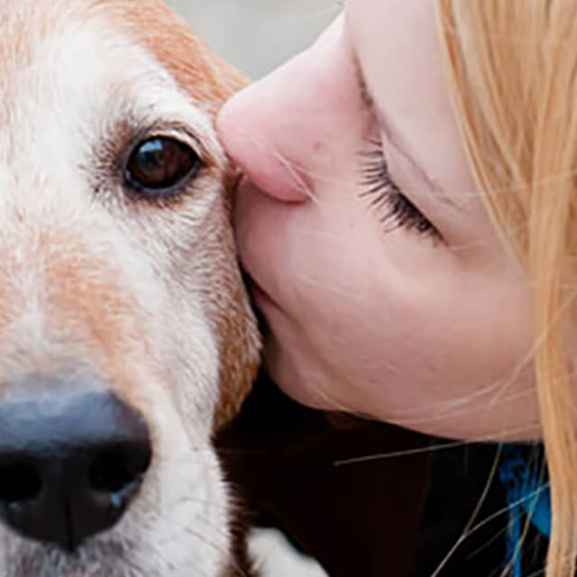 Reading your dog's body language