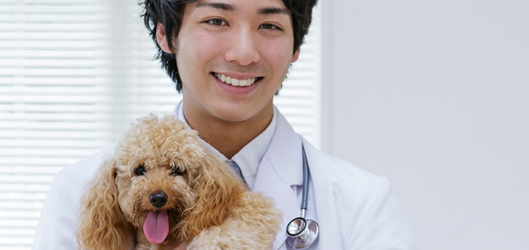 5 Ways Wet Dog Food Can Benefit Your Pooch
