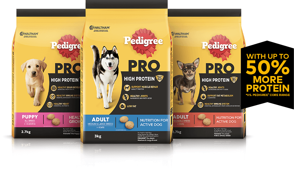 Pedigree pro adult shop