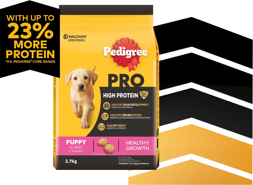 Pro puppy landing hero