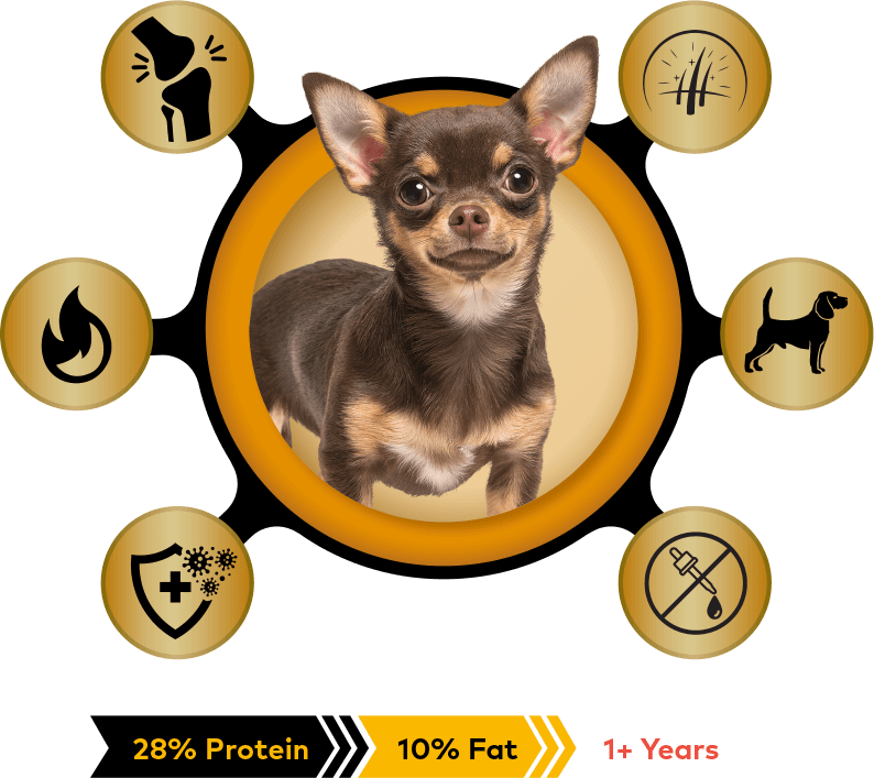 pro mini small breed keep up with your