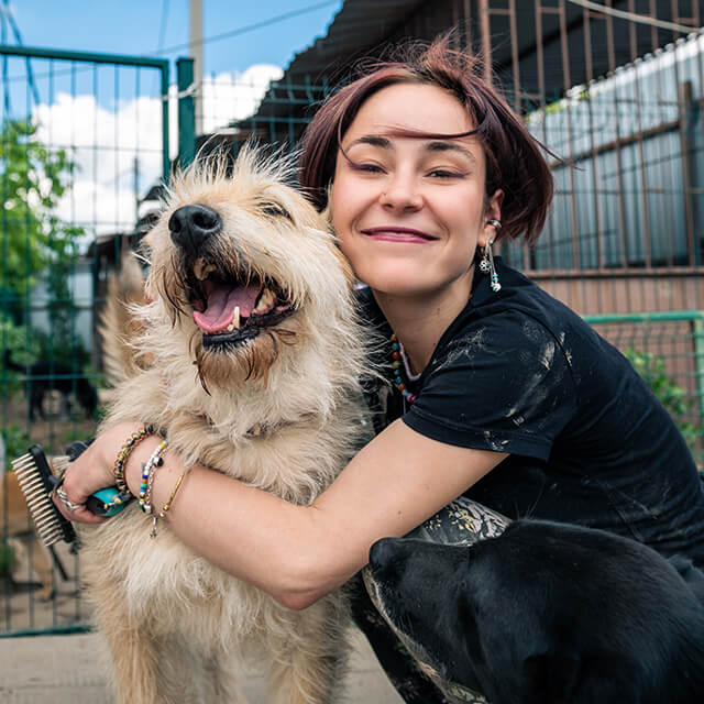 Dog Adoption: A Complete Guide For Beginners