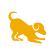 Dog Adult Icon