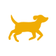 Dog Medium Icon