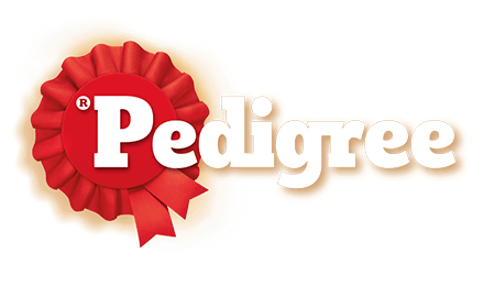 PEDIGREE MY